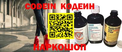 индика Тверь