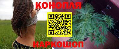 индика Тверь