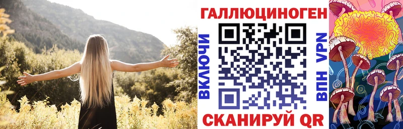 Купить закладки  Усть-Лабинск  Псилоцибиновые грибы Cubensis 